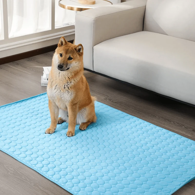 Skanto | DogCool – Selbstkühlende Hundematte für heiße Sommertage