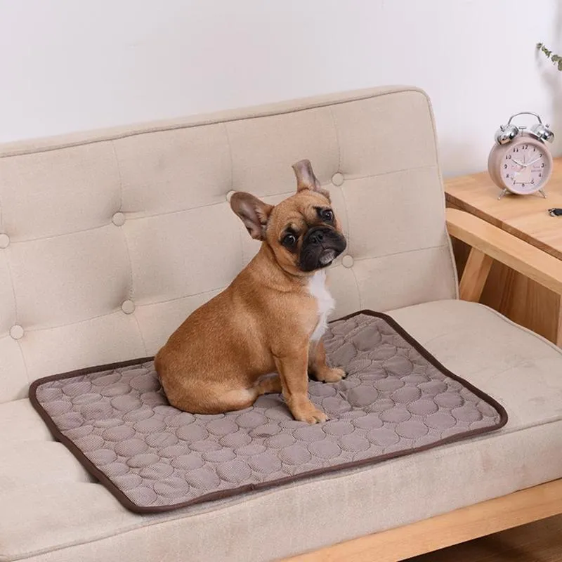 Skanto | DogCool – Selbstkühlende Hundematte für heiße Sommertage