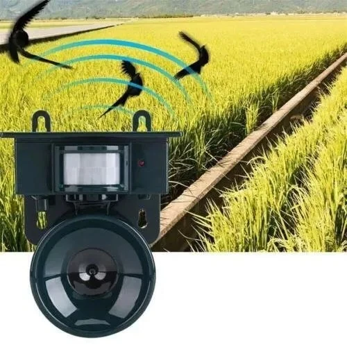Skanto | Vogelabwehr und Abschreckung mit Bewegungssensor für den Außenbereich