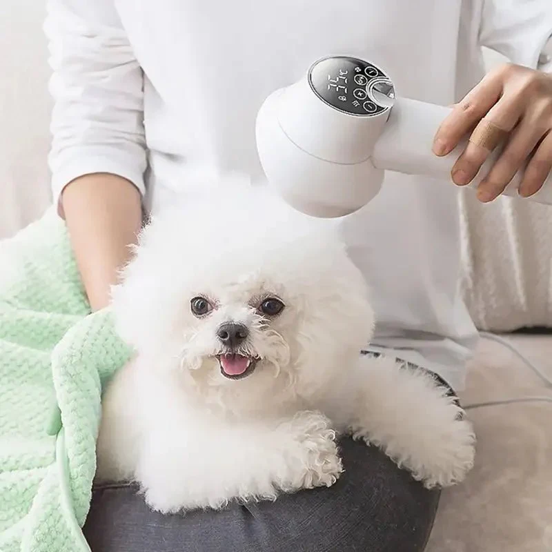 Skanto | PURRFECTDry – Leiser 2-in-1 Tierhaartrockner und Bürste für stressfreie Fellpflege