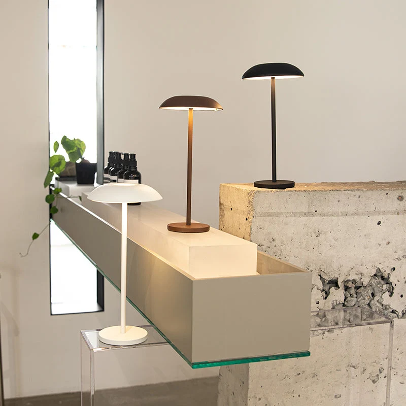 Skanto | Iron Elegance Lampe