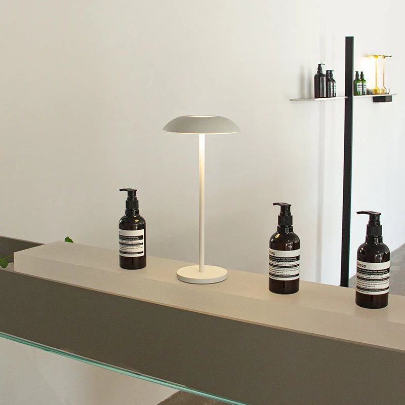 Skanto | Iron Elegance Lampe
