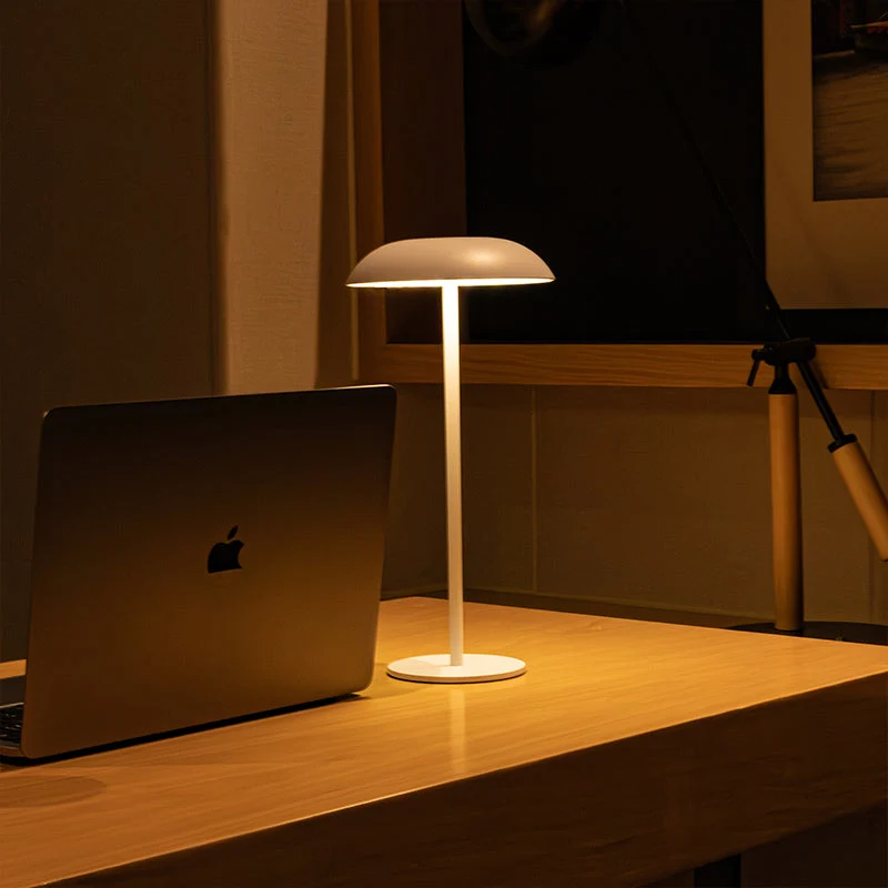 Skanto | Iron Elegance Lampe