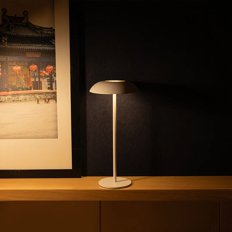 Skanto | Iron Elegance Lampe