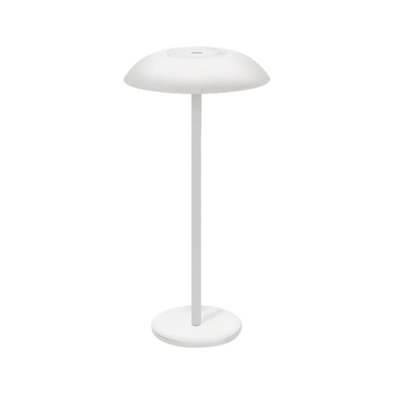 Skanto | Iron Elegance Lampe