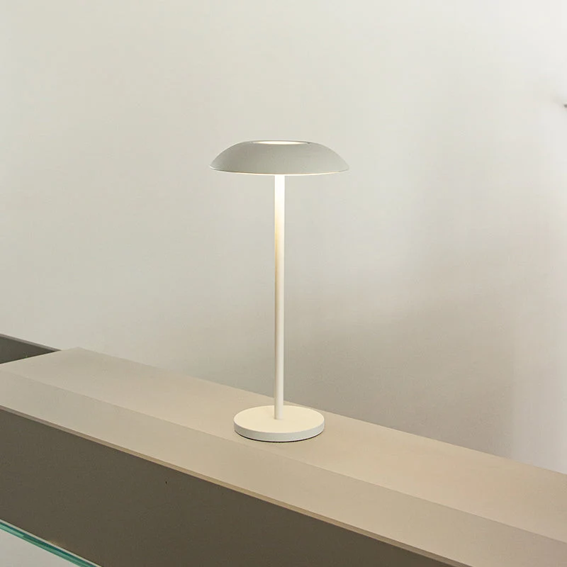 Skanto | Iron Elegance Lampe