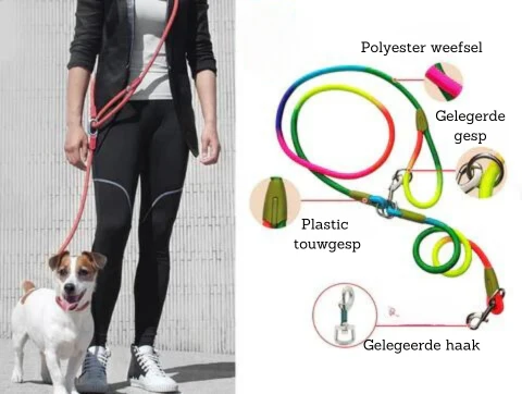 FreedomLeash – Innovative Freihand-Hundeleine Skanto