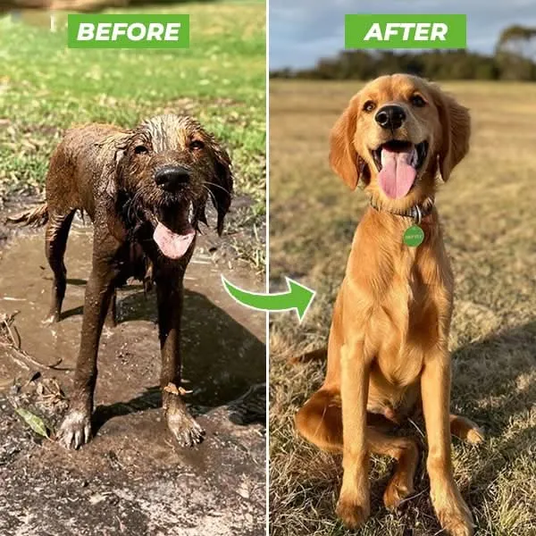 Skanto | FellFrisch Badespray – Stressfreies Baden für Hunde