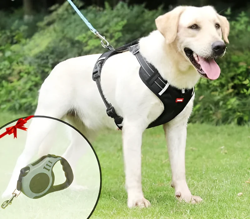 NoPull Hundegeschirr – WalkEase Skanto