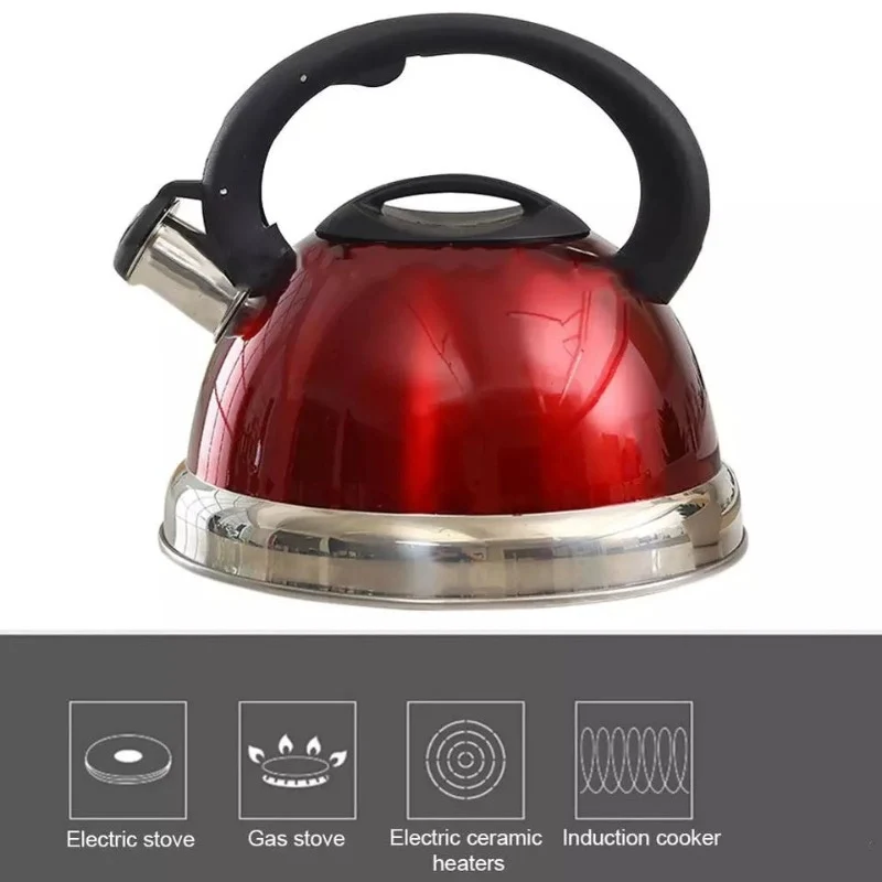 3L Premium Stainless Steel Whistling Kettle (Induction & Gas Stove Compatible)