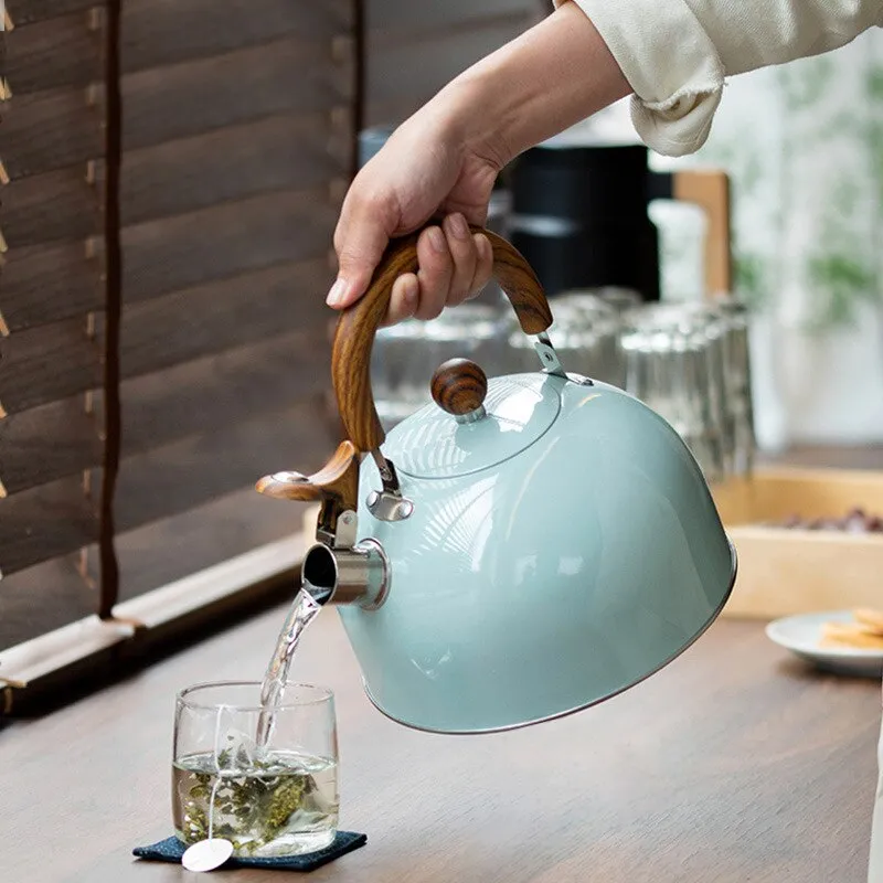 Skanto | 1 Stk. 2,5/3 l Edelstahltopf, dicker Topf, Gas-Induktionsherd, Universaltopf