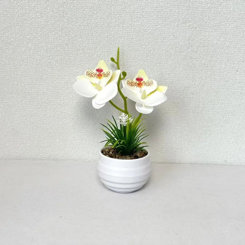 Dekorative Miniaturorchideen-Tischdekoration