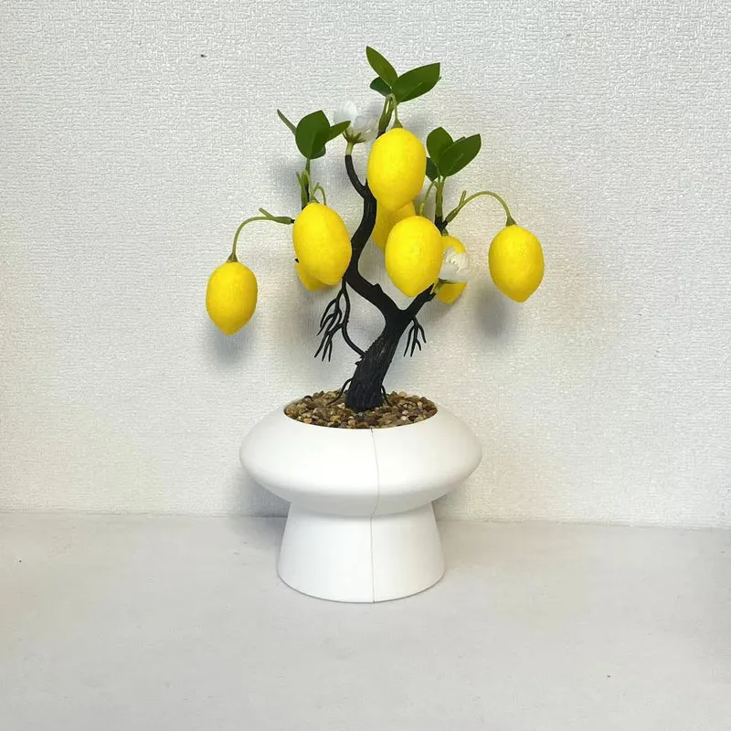 Dekorativer Zitronenbaum Arrangement