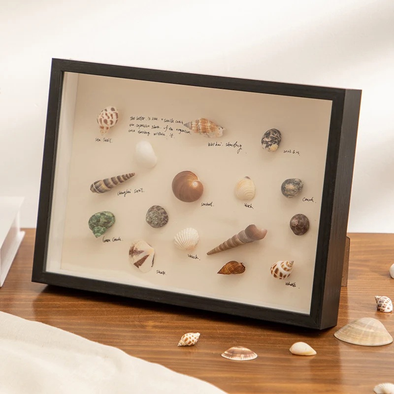 Dekorativer Muscheln Displayrahmen für Zuhause