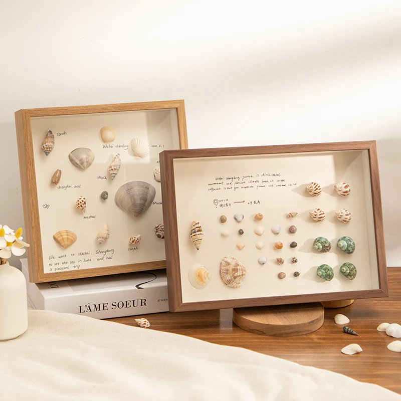 Dekorativer Muscheln Displayrahmen für Zuhause