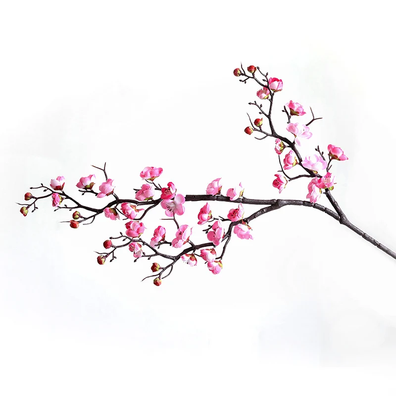Dekorative Blumen für die Wohnkultur-Darstellung