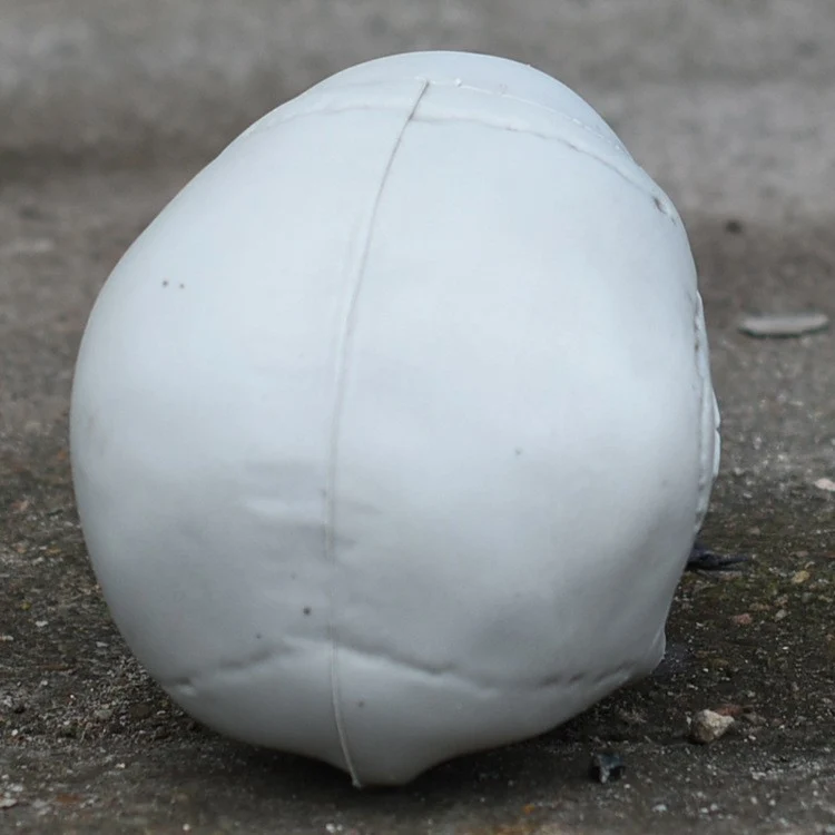 Dekorative realistische Totenkopf-Figur Brehn