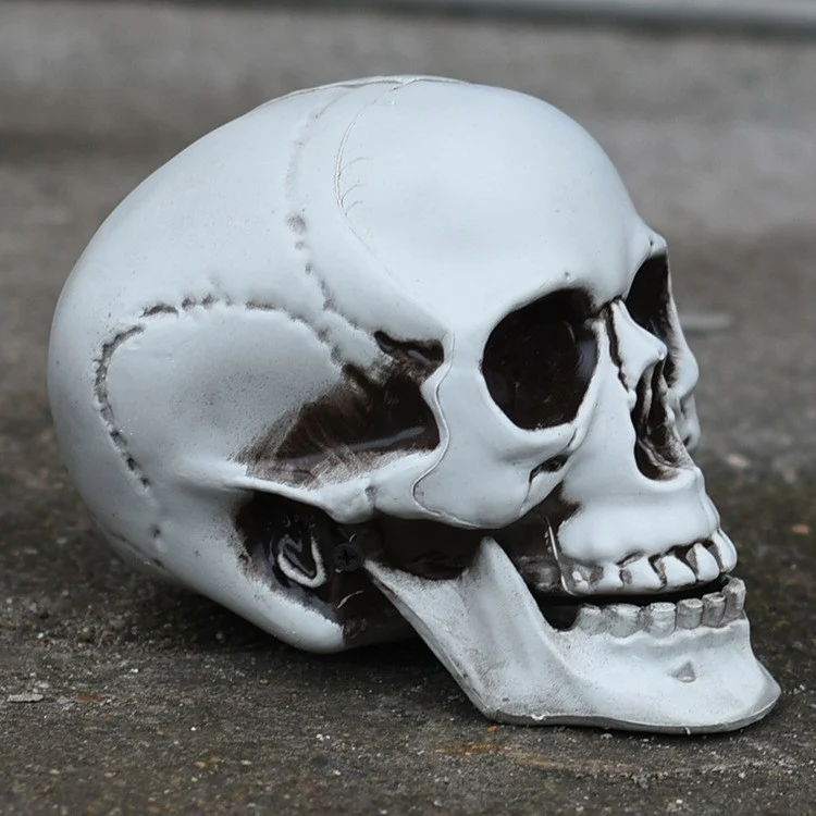 Dekorative realistische Totenkopf-Figur Brehn