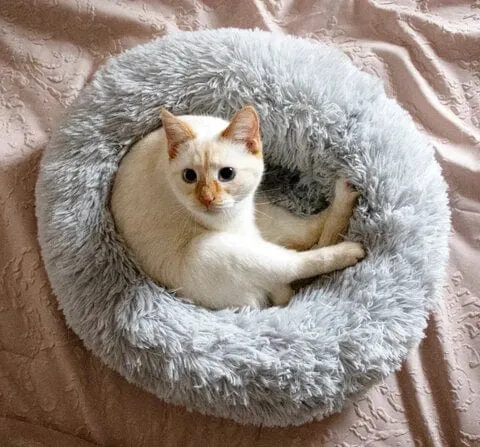 Skanto | Flauschiges Beruhigungsbett für Hunde und Katzen