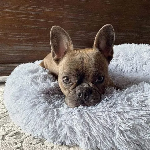 Skanto | Flauschiges Beruhigungsbett für Hunde und Katzen