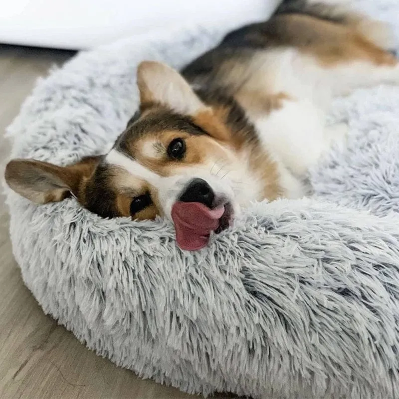 Skanto | Flauschiges Beruhigungsbett für Hunde und Katzen